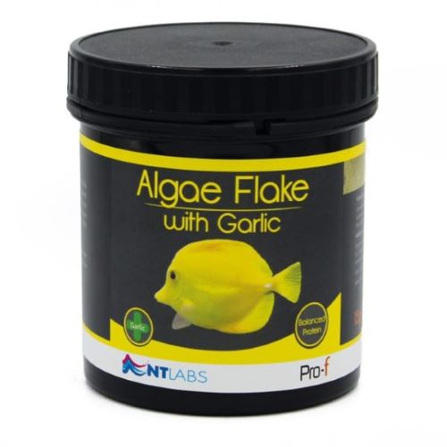 NTlabs Algae Flake With Garlic 15g