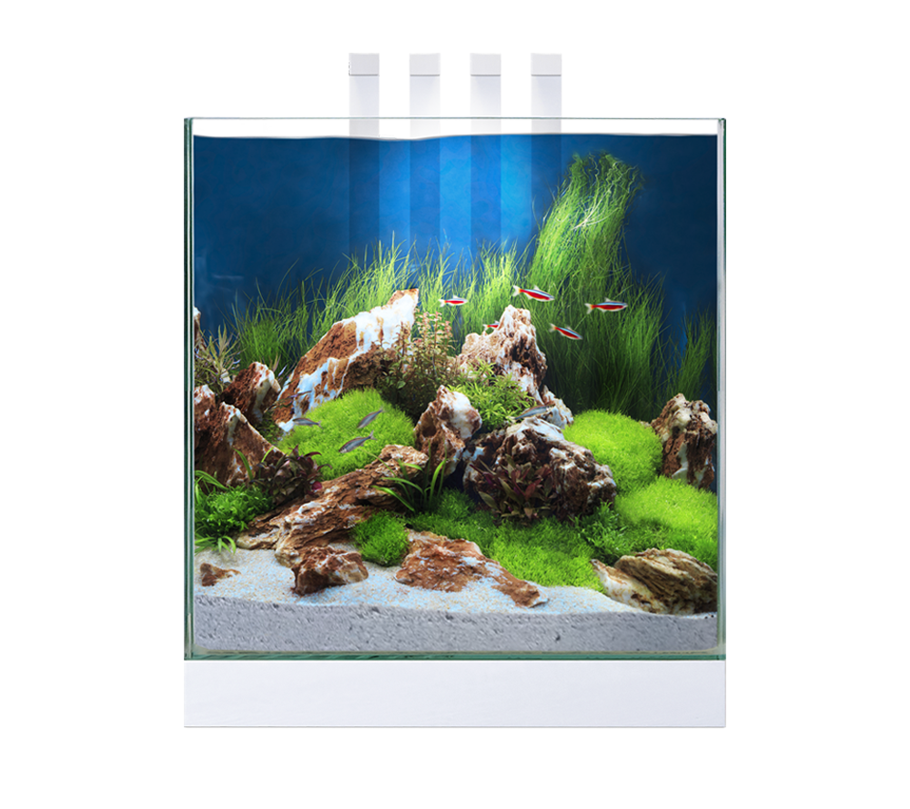 Ciano Nexus 25 - Tropical Supplies North East