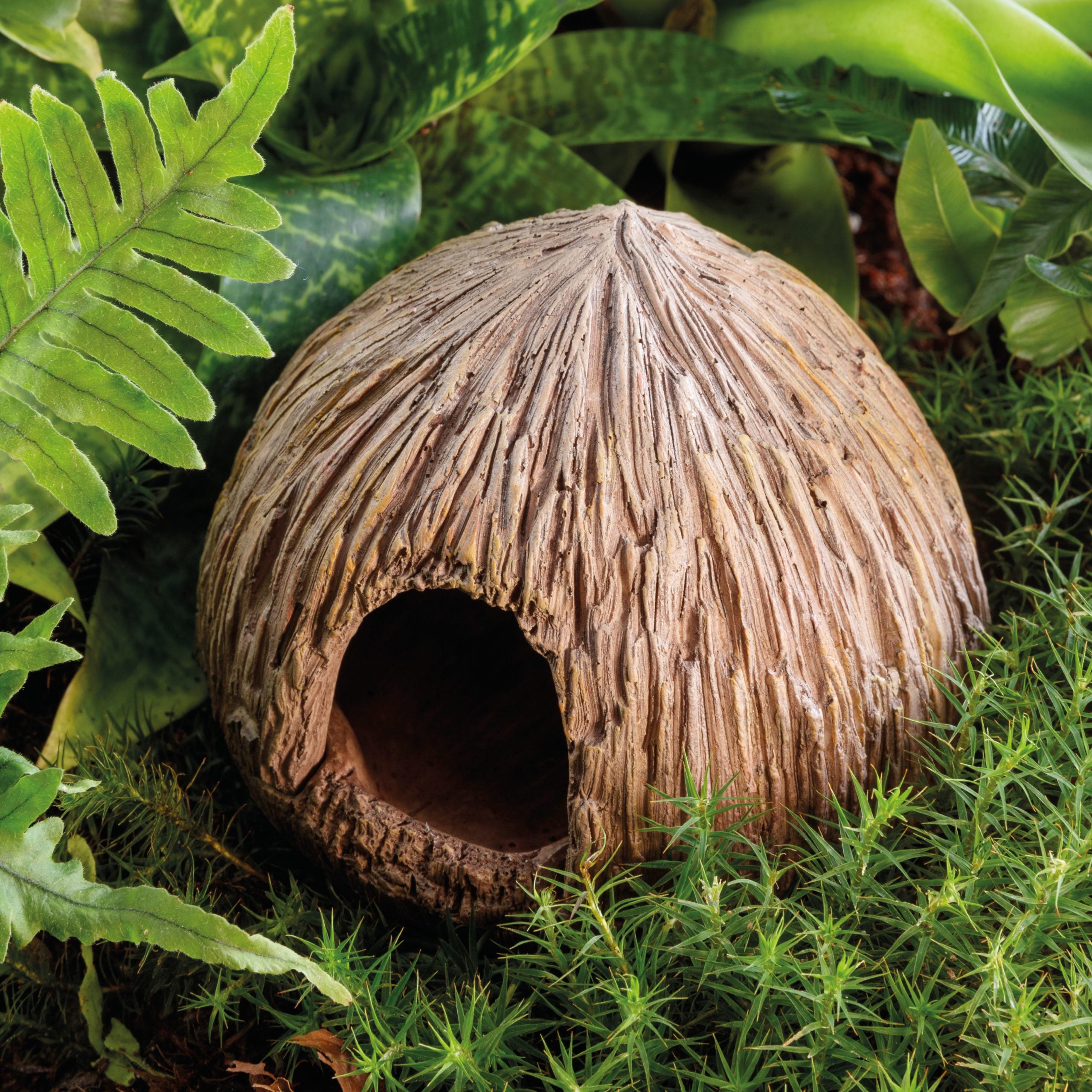 Exo Terra Coconut Cave