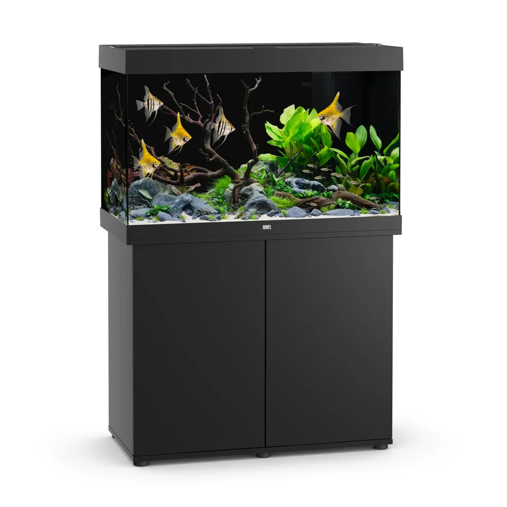 Juwel Rio 290 Aquarium Set Black - Tropical Supplies
