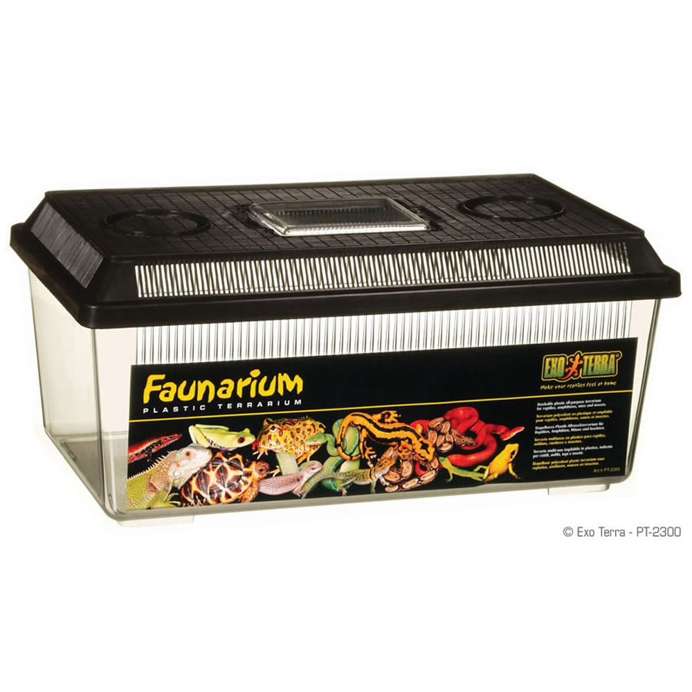 Exo Terra Flat Medium Faunarium