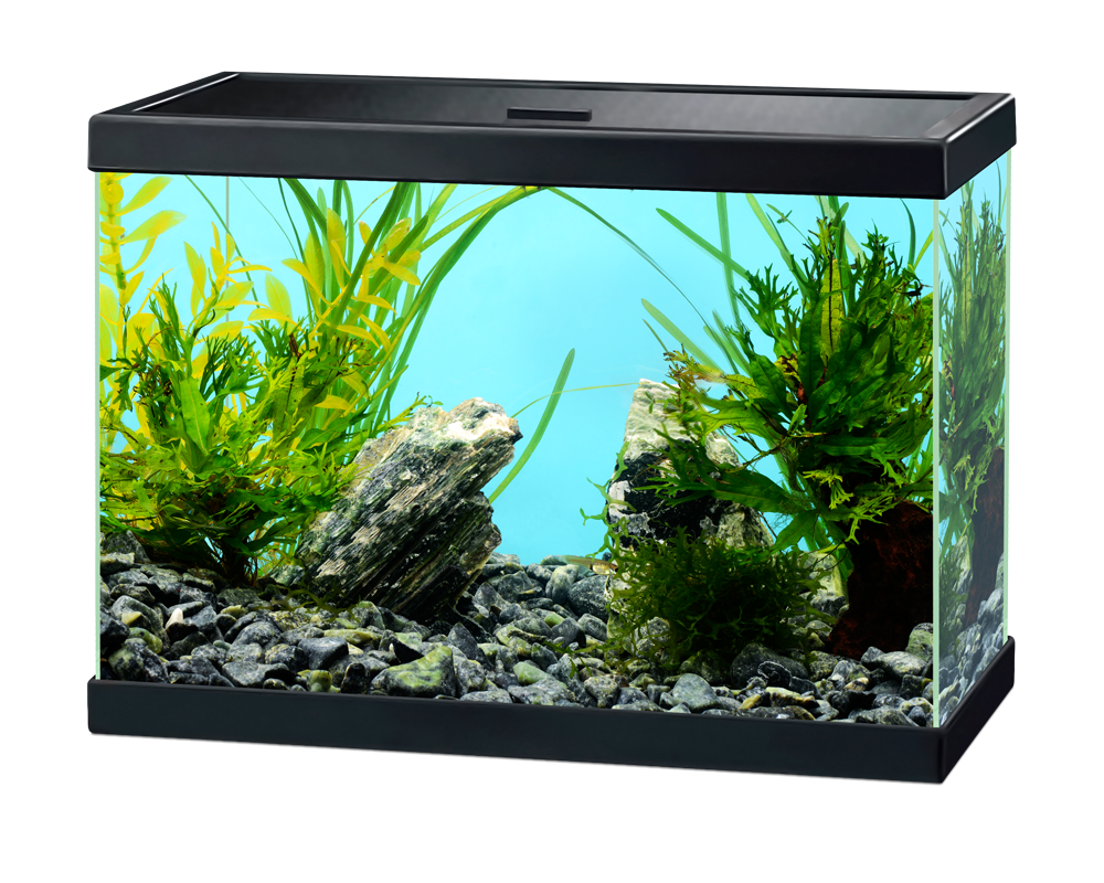 Ciano Aqua 15 Classic. - Tropical Supplies North East