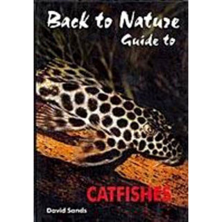Back To Nature Guide To Catfish - Tropical Supplies North East