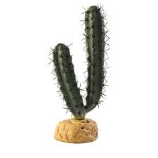 ExoTerra Finger Cactus