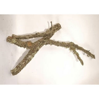 Tronchos Wood Per Kg