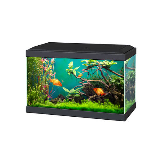 Ciano Aqua 20 Classic Black