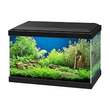 Ciano Aqua 20 LED Black
