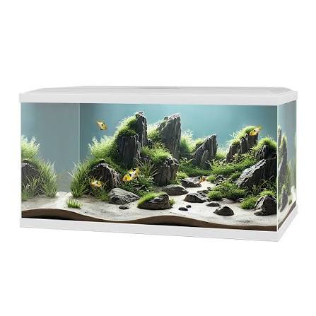Ciano Aqua 60 Plus White
