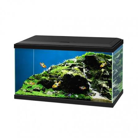 Ciano Aqua 60 LED Black