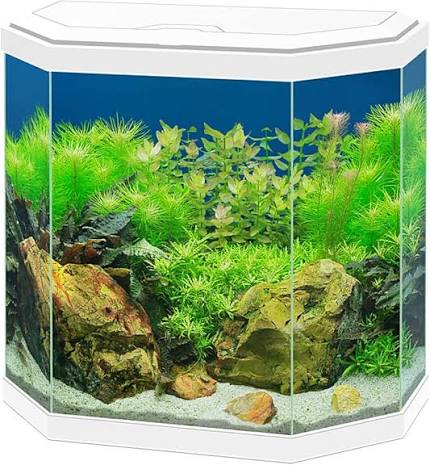 Ciano Aqua 30 HEX LED White