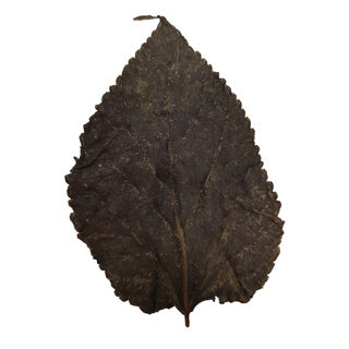 Mulberry Leaves x10 - Tropical Supplies North East