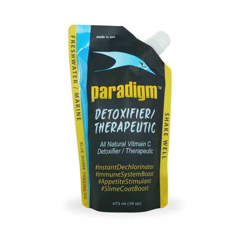Blue Shark Paradigm - Tropical Supplies