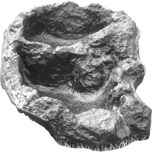 Small Water Course 65X40cm - Tropical Supplies North East