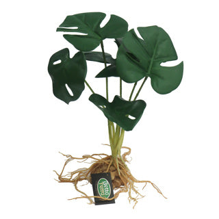 Betta Terra Plant with Roots 31cm