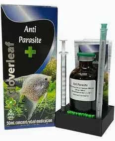 Cloverleaf Anti-Parasite