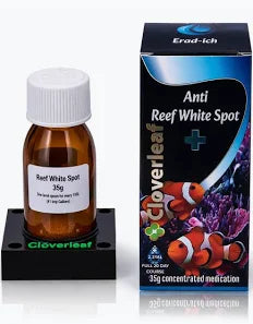 Cloverleaf Reef Anti-White Spot