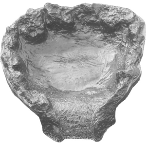 Header Pool 65X59cm - Tropical Supplies North East