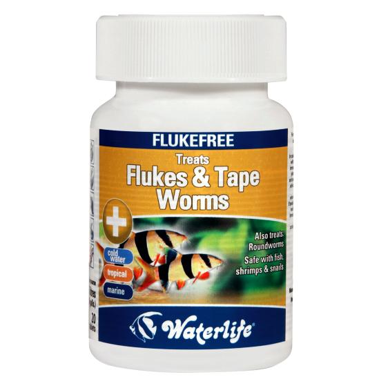 Waterlife FlukeFree Treatment (20 Tab) Fluke & Tape Worms - Tropical Supplies North East