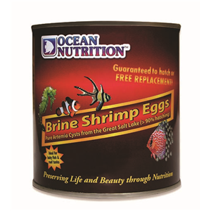 Ocean Nutrition Brine Shrimp Eggs 20g - Tropical Supplies North East