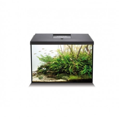 Aquael Leddy XL 40 LED Aquarium Set Black (35L) £85.99 Tropical Supplies North East