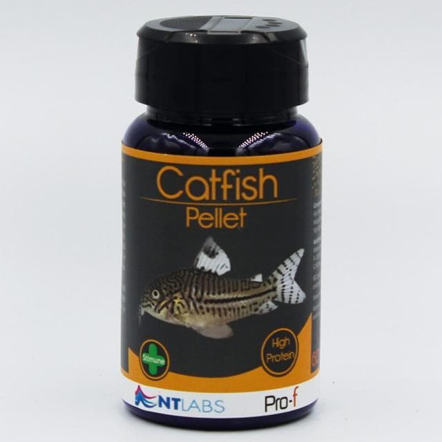 NTlabs Pro-F Catfish Pellets 60g - Tropical Supplies North East
