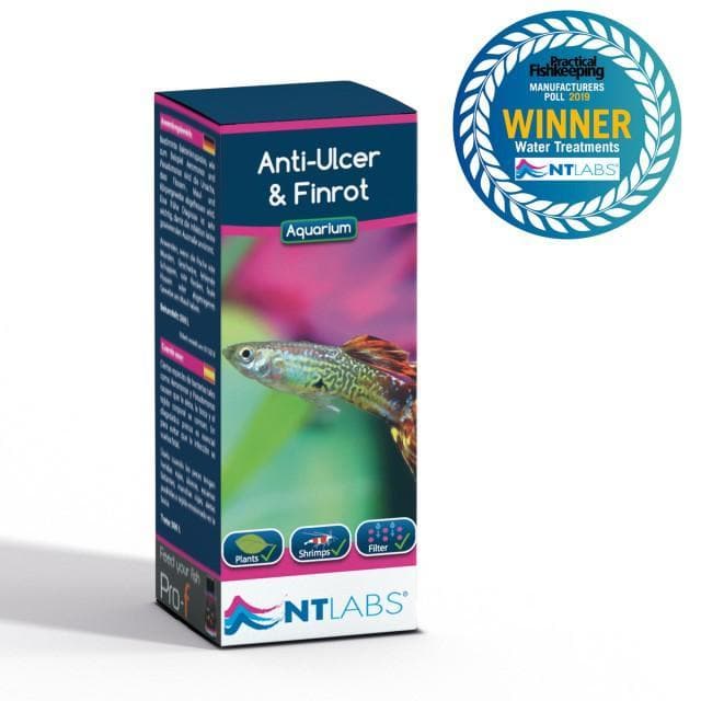 NTlabs Anti-Ulcer & Fin Rot 100ml - Tropical Supplies North East