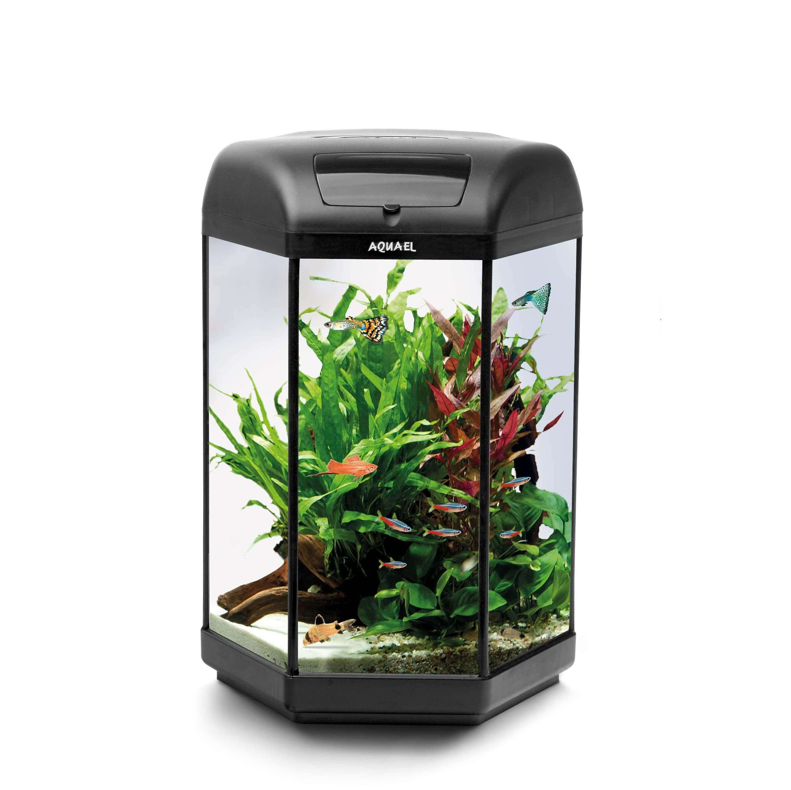 Aquael Hexset 60 Hexagon 60 Litre - Tropical Supplies North East