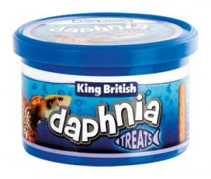 King British Daphnia Natural Fish Food 18g - Tropical Supplies North East