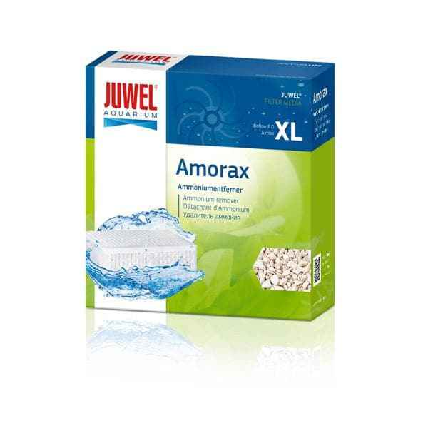 Juwel Amorax