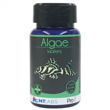 NTlabs Pro-F Algae Wafer 110g - Tropical Supplies North East