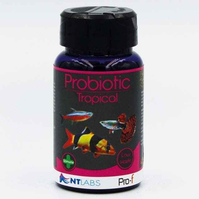 NTlabs Probiotic Tropical Granule 45g