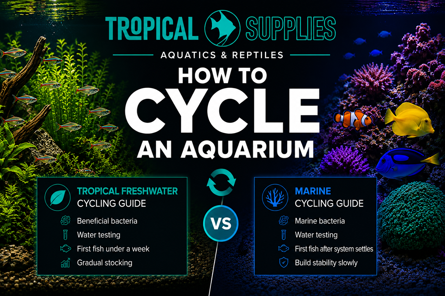 How to Cycle an Aquarium: Tropical Freshwater & Marine Guide