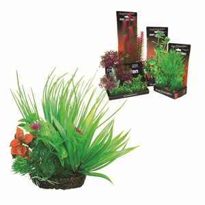 Hugo Boxed Plant Mix 2 15Cm - Tropical Supplies North East