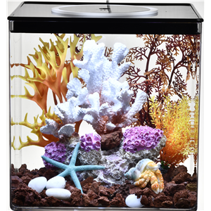 HAKU Acrylic Fish Home L30xW30xH30cm - Tropical Supplies North East
