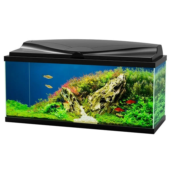 Ciano Aqua 85 LED Black