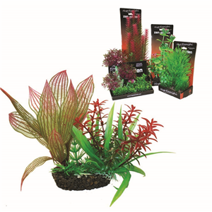 Hugo Boxed Plant Mix 1 15Cm - Tropical Supplies North East