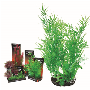 Hugo Boxed Plant Mix 2 28Cm - Tropical Supplies North East