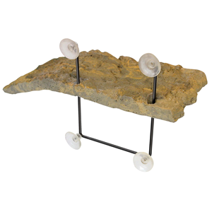 Zoomed Turtle Dock Large