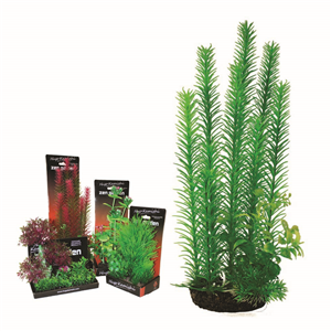 Hugo Boxed Plant Mix 2 35Cm - Tropical Supplies North East