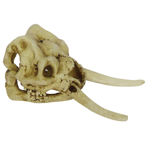 Hugo Elephant Skull 25x12x13
