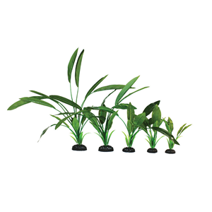 Hugo Cryptocorne Green Silk 40cm