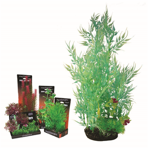 Hugo Boxed Plant Mix 1 35Cm - Tropical Supplies North East