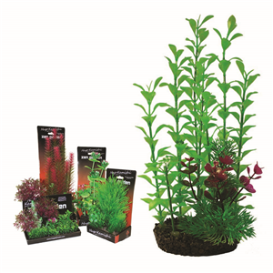 Hugo Boxed Plant Mix 4 28Cm - Tropical Supplies North East
