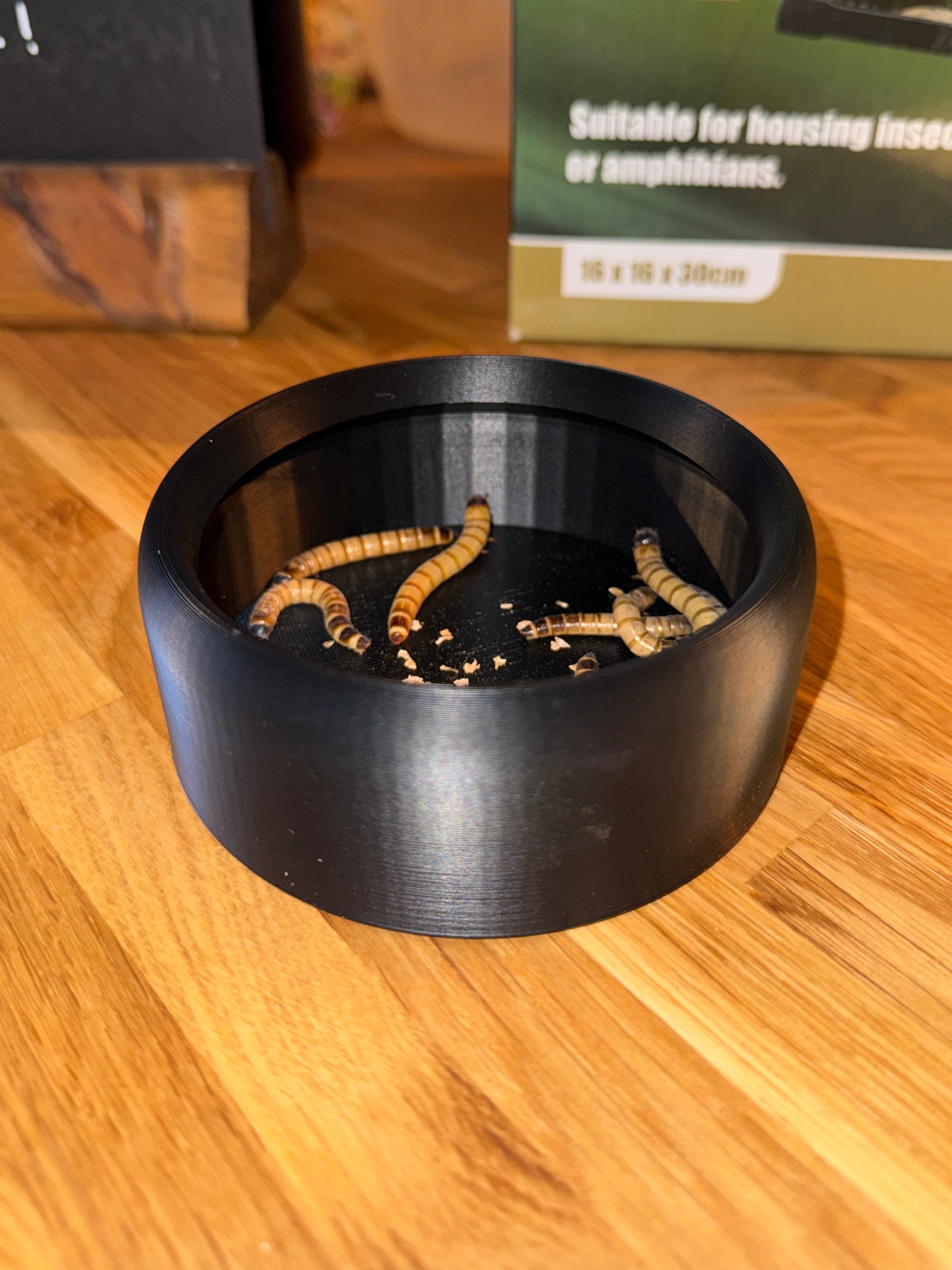 Tropic3D Escape Proof Morio Worm Dish 100x40mm