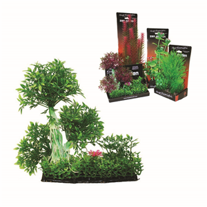 Hugo Boxed Plant Mix 5 20Cm - Tropical Supplies North East