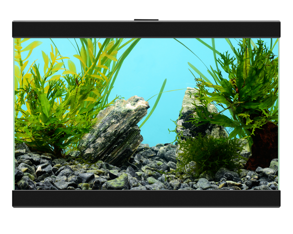 Ciano Aqua 20 Classic Black - Tropical Supplies North East