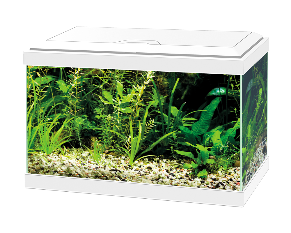 Ciano Aqua 20 LED White - Tropical Supplies North East