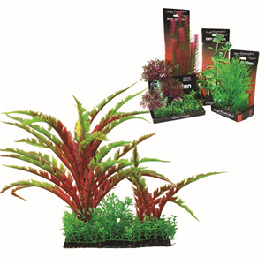 Hugo Boxed Plant Mix 2 20Cm - Tropical Supplies North East