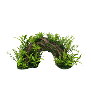 Hugo Plant Arch Scape 33x13x16cm