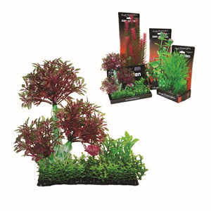Hugo Boxed Plant Mix 4 20Cm - Tropical Supplies North East